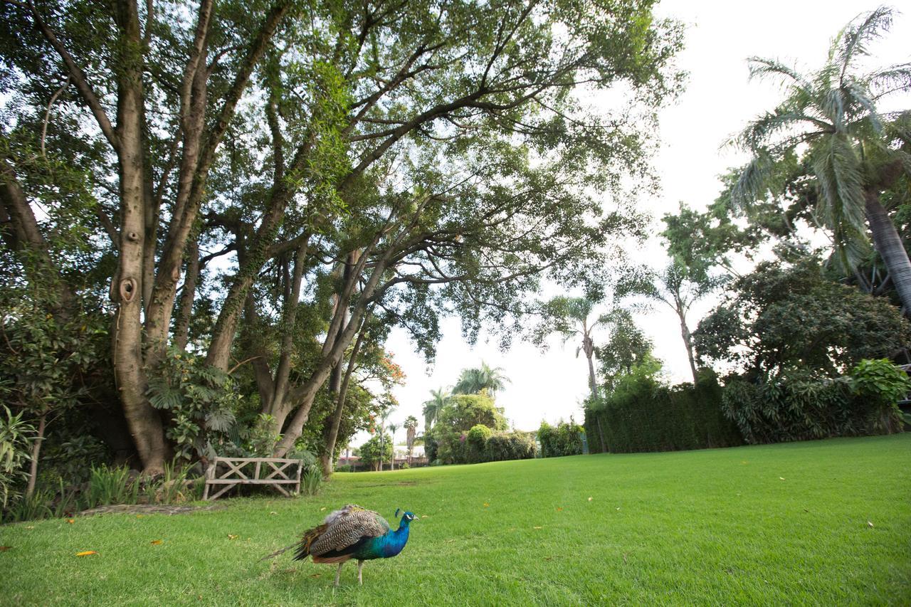 Hotel Jacarandas Cuernavaca Extérieur photo