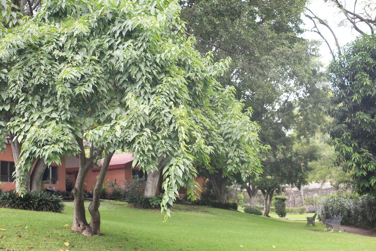 Hotel Jacarandas Cuernavaca Extérieur photo